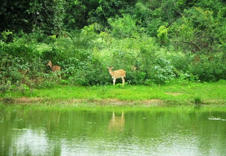 6. Van Vihar National Park